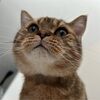 catwalkstudio